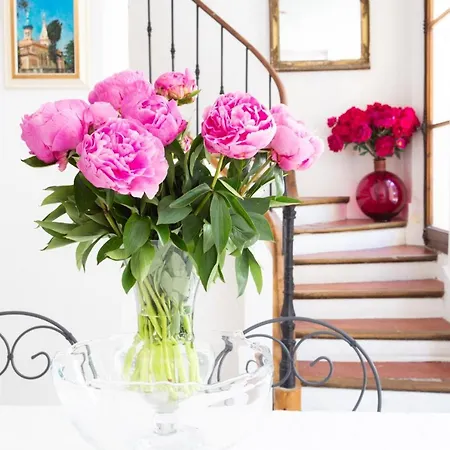 Les Trefles Furnished House *